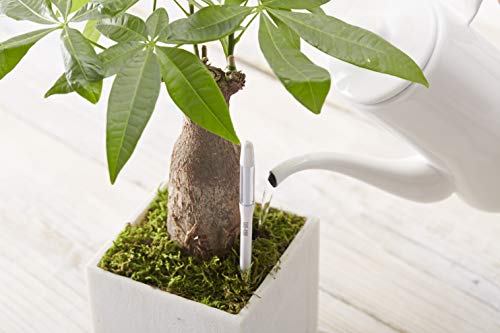 Sustee Aquameter, White, Medium -Soil Moisture Meter for Potted Plants - Plant Water Sensor (Refillable Style)