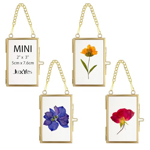 JUXYES 2x3 Hanging Mini Double Glass Picture Pressed Flower Frame Ornament | 4 Pack Wallet Size Tiny Frame Ornament for Xmas Tree Party Wall Decor, Small Gold Brass Floating Display Frame with Chain - color: Vertical, size: 4 Pack