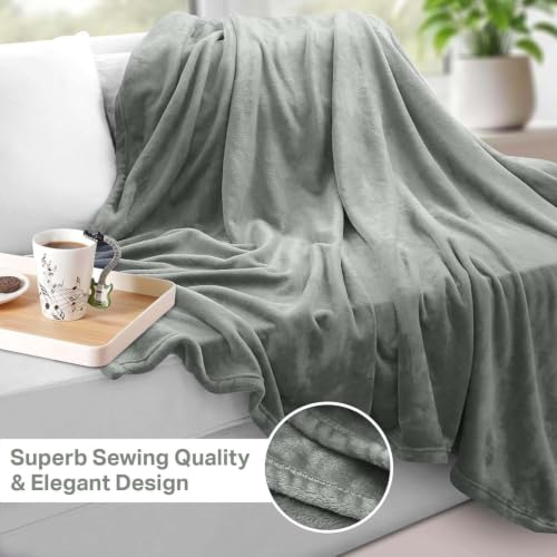 MOONLIGHT20015 Fleece Throw Blanket Super Soft Cozy for Couch, Sofa and Camping Lightweight 400 GSM Luxury Fluffy Microfiber Bed Blankets 50 x 60 Inches (Throw/Travel, Silver) - color: Silver, size: Throw