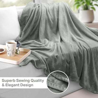 MOONLIGHT20015 Fleece Throw Blanket Super Soft Cozy for Couch, Sofa and Camping Lightweight 400 GSM Luxury Fluffy Microfiber Bed Blankets 50 x 60 Inches (Throw/Travel, Silver) - color: Silver, size: Throw
