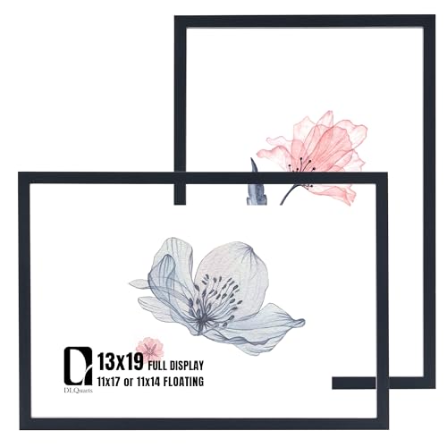 DLQuarts 13x19 Floating Picture Frame for 11x17/11x14 Photos, 2-Pack Solid Wood Double Plexiglass Wall Art Frames, Any Size Photo up to 13x19 Display, Black - color: Charcoal Black, size: 13x19