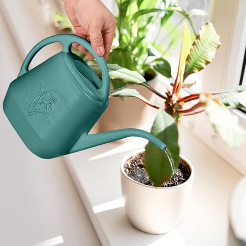 ZXJ Plant Watering Can - for Indoor and Outdoor Home Garden Plants - with Long Spout - Emerald Green - 1/2 Gallon - color: Emerald Green