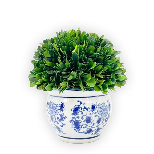 Galt International 7" Naturally Preserved Real Boxwood Ball in Hand-Painted Blue & White Round Bulb China Pot Planter Green Indoor Plant Home Decor (Small 7" Tall Topiary) - size: Small 7" Round Pot