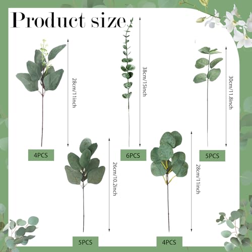 30 Pcs 6 Kind Mixed Eucalyptus Leaves Stem Bulk Artificial Greenery | Fake Silver Dollar Eucalyptus Bundle Faux Plants Greenery for DIY Bouquets Floral Arrangement Wedding Engagement Decor