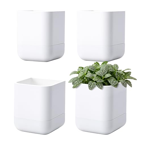 Phoenix Vine 3.5 Inch Wall Mounted Self-Watering Planter Pot for Indoor Houseplants and Herbs | Hanging Planter for Window Sills, Bathroom Walls, Home & Office Décor, White, Set of 4, 01-A-D-4 - color: White, size: 3.5" (4 Pack)