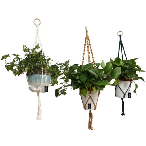 Macrame Plant Hangers Set of 3 – Handmade Indoor/Outdoor Hanging Planters in Yellow, Green, and Ivory, 35, 33, and 29 Inches, Boho Decor for Pots up to 9 Inches (Pots Not Included)