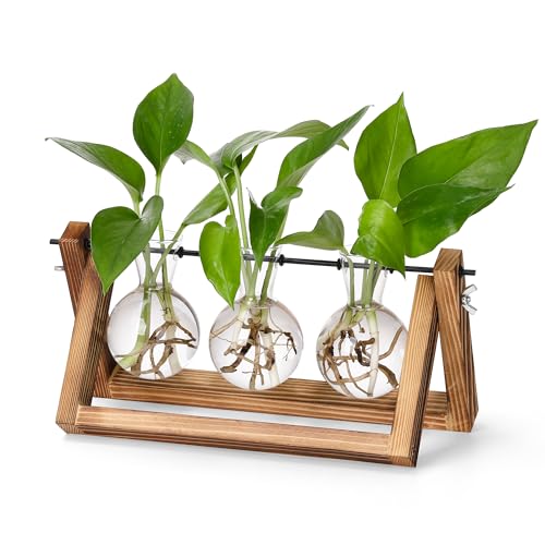 YIBOT Plant Propagation Stations with Wooden Stand & 3 Glass Bulb Vases | Plant Terrarium for Indoor Plants, Home Office Desk Decor, Gardening Gifts for Women Mom, Birthday Gifts for Plants Lovers - size: 3Bulb-A