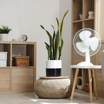 D'vine Dev 8.2 Inch Ceramic Planter Pot, Black White Two Tone, 94-O-D-L | Modern Cylinder Design, Drainage Hole & Saucer Included, Stable Structure, Elegant Home Accent - color: Layered Monochrome Black & White, size: Medium