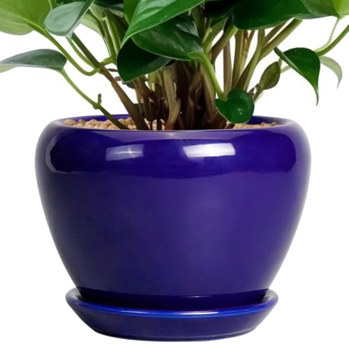 Ceramicfor 6 Inch Plant Pot - Ceramic Pots for Plants Succulent Pot with Drainage Hole and Saucer Round Planter Outdoor Flower Pot for Herb Snake Plants Blue - color: Royal Blue, size: 6 Inch