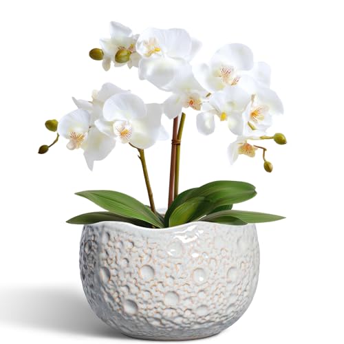 Ceramic Plant Pots 6 Inch, Ceramic Orchid Pot with Drainage, Grey | Unique Pots for Indoor Plants, Decorative Modern Planter with Plug, Living Room Decor, Plant Lovers Gifts - color: Gray, size: 6.2 Inch