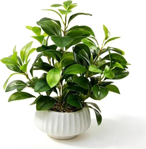 Artificial Peperomia Plants 16” Tall Lifelike Faux Greenery in 6” White Ribbed Ceramic Planter Realistic Indoor Fake Potted Plant for Home Office Desk Shelf Bathroom Bedroom Farmhouse Decor - color: Plant-b