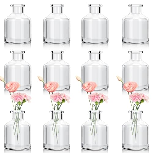 12 Pcs Bud Vases, Clear Glass, 2 x 2.8 Inch | Mini Flower Vases, Small Glass Living Bud Vases Bulk for Flowers Centerpieces, Table, Home and Living Room Decor