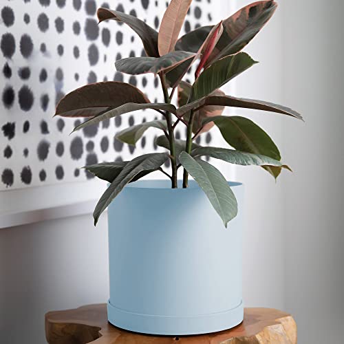 Bloem Mathers Planter w/Saucer Tray 10" Misty Blue (Pack of 3) - color: Misty Blue, size: 10" (Pack of 3)