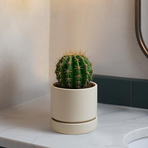 Phoenix Vine 4 Inch Planter Pot with Drainage Hole & Saucer, Deep Water Catch Tray, Straight Cylindrical Round Pot for Plants, Oatmeal, Pack of 1, 23-E-R-1 - color: Oatmeal, size: 4" (1 Pack)