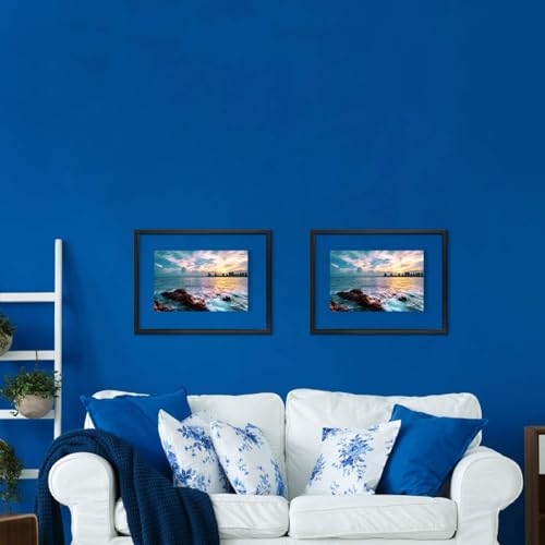 ONE WALL 18x24 Floating Frame, Black Wood Double Glass Float Picture Frame | Display 11x14/11x17/12x18/13x19/16x20 Photos or Plant or Petal Specimens for Wall Hanging, Mounting Kit Included - size: 18X24