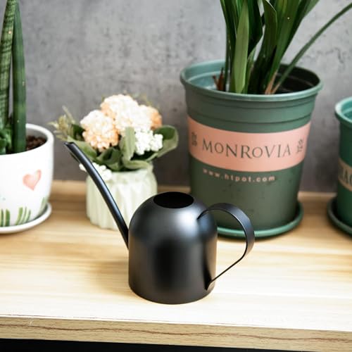 IMEEA Small Watering Can for Indoor Plants Stainless Steel Watering Can with Long Spout 15oz/450ml, (Black) - color: 15oz (Matte Black)