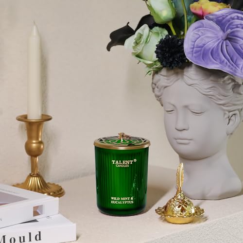 Jar Candles for Home Scented, Aromatherapy Candles Gifts for Women & Men, Natural Soy Candle, 8.4oz Traditional Style, Wild Mint & Eucalyptus - color: Wild Mint & Eucalyptus