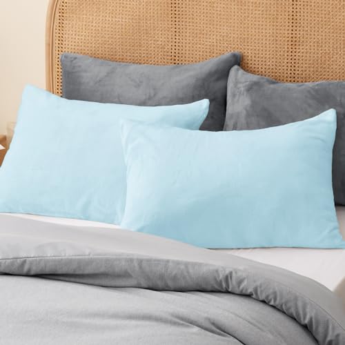 BEDELITE Flannel Pillow Cases Queen Size Set of 2, Blue, 20x30 Inches | Super Cozy Fuzzy Velvet Pillow Shams with Zipper Closure, Soft Fleece Pillowcases for Bedroom, Sofa, Couch, All-Season Use - color: Blue, size: 30" x 20" (Pack of 2)