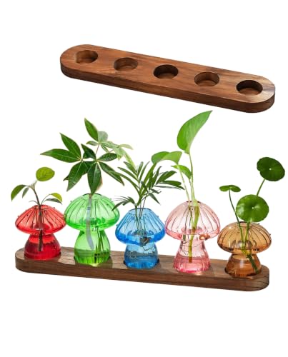 Mushroom Glass Vase Set of 5, Colored Propagation Station, Mushroom Planter | High Borosilicate Glass for Home Office Desktop Decor, Aesthetic Gift for Plant Lovers