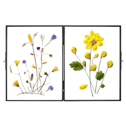 REDHUGO Glass Pressed Flower Frame Handmade, Rectangle, Black, 8×10 Inches | Hinged Double Press Flower Frame, Tabletop Brass Photo Frames, Rectangle Dried Flowers Display Folding Frames for Home - color: Black, size: 8L" x 10W"