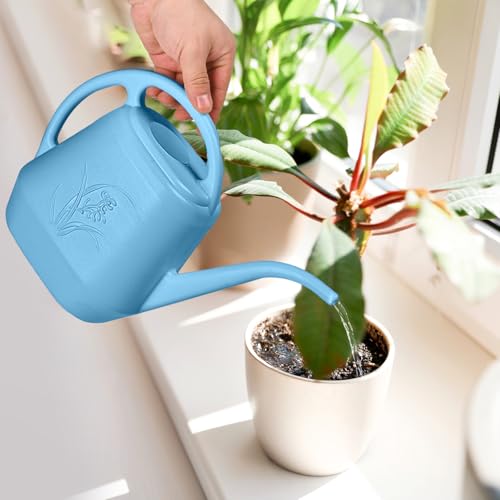 ZXJ Plant Watering Can - for Indoor and Outdoor Home Garden Plants - with Long Spout - Skye Blue - 1/2 Gallon - color: Skyblue