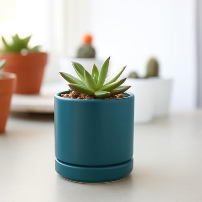 D'vine Dev 3.5 Inch Ceramic Planter Pot, Teal, 94-O-A-9 | Modern Cylinder Design, Drainage Hole & Saucer Included, Stable Structure, Elegant Home Accent - color: Teal, size: XX-Small