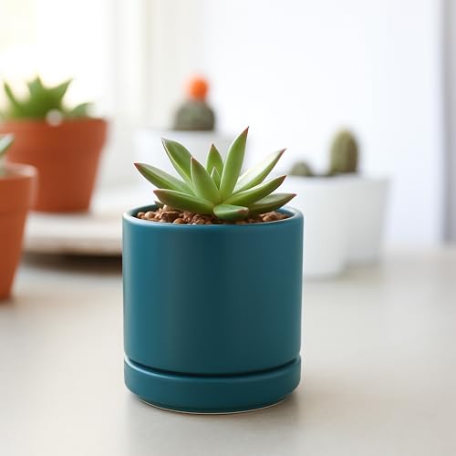 D'vine Dev 4-Pack Ceramic Pots with Saucers, Teal, 3.5 in, 94-X-A-9 | Glazed Ceramic, Drainage Hole and Saucer, Sleek Cylinder Shape, High Temperature Fired, Ideal for Small Houseplants - color: Teal, size: 3.5 Inch