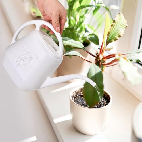 ZXJ Plant Watering Can - for Indoor and Outdoor Home Garden Plants - with Long Spout - White - 1/2 Gallon - color: White