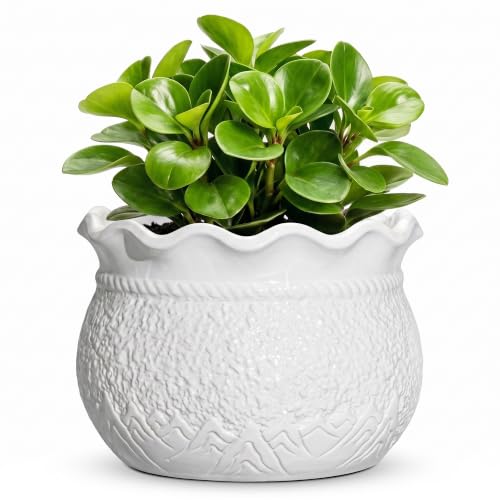 Ceramic Flower Pots, 6 Inch Plant Pot for Indoor Plants, White | Decorative Pots for Plants with Drainage Hole, Unique Planter, Small Flower Pot, Garden Decor, Plant Lover Gifts - color: White, size: 6 Inch