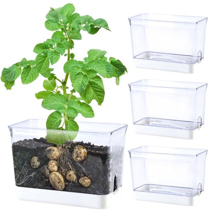 4pk Self-Watering Windowsill Planters, Clear Plastic w/Drainage Holes | 7.8"x5.4"x4", Rectangular Flower Pots, Plant Growth Observation Box for Kids