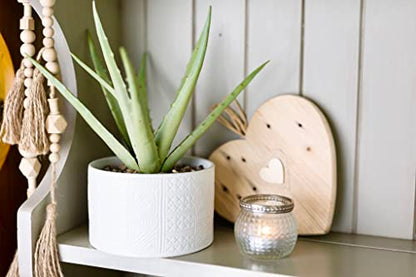 Kurrajong Farmhouse Artificial Plant in White Ceramic Pot | 10" high sage Green Faux Agave Plant | Fake Plant for Desk Decor | Artificial Agave for Home Decor | Artificial Succulent for Shelf Decor