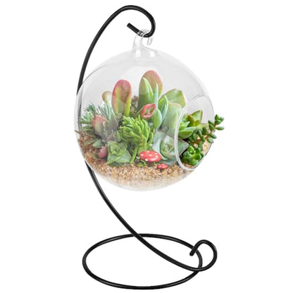 Air Plant Terrarium Kit with Stand, Hanging Glass VaseTerrarium Globe with Metal Ornament Display Stand Tabletop Glass Terrarium for Air Plants Succulent Planters Small Plants