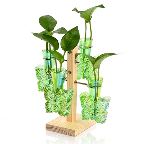 Plant Terrarium Propagation Stations: Green Vase with Wooden Stand | Irised Crystal Clear Glass, Butterfly Shaped, Home Table Decor, Birthday Gifts for Plant Lovers Women Mom Wife - color: Green