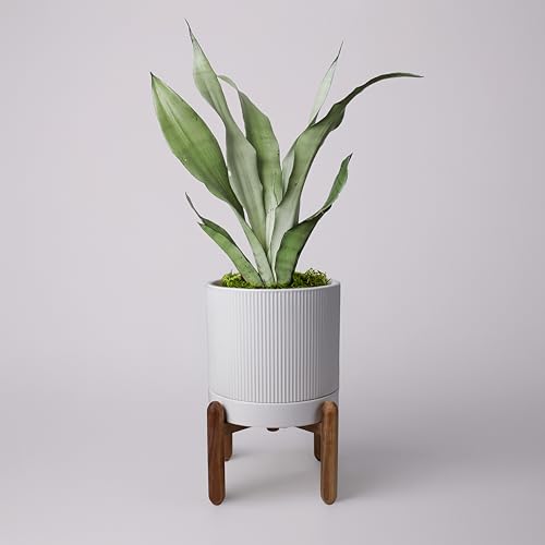 HERDUK 8 Inch Ceramic Planter with Natural Wood Stand w/Drainage & Saucer - Modern Indoor Planter for Cacti, Snake Plants & Aloe Vera - color: Matte White, size: 8 inches