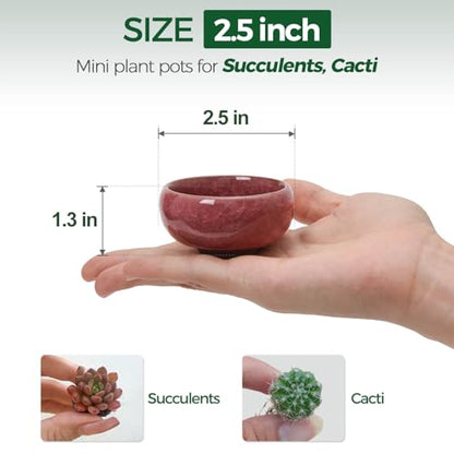 T4U 2.5 Inch Small Ceramic Succulent Planter Pot with Drainage Hole Set of 6, Ice Crack Glaze Plant Container for Cactus, Gardening Plant Gifts for Women Mom Aunt Home Office Decor | Cactus planters set, indoor herb garden, bonsai tree starter, tabletop c