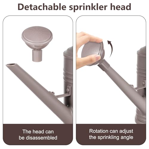 DOITOOL Multi-Purpose Indoor Watering Can with Long Spout Garden Tool for Delicate Flower Watering and Houseplants Ergonomic Handle for Easy Use