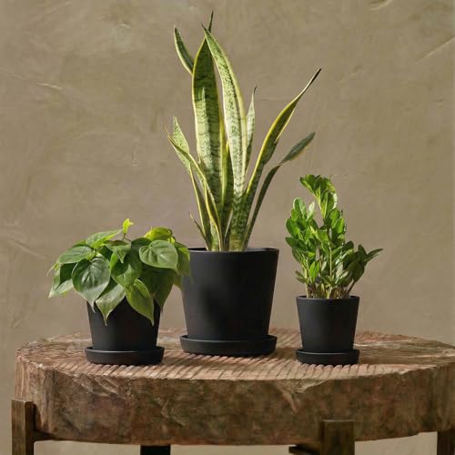 Bamworld Plant Pots Indoor with Drainage Holes- Set of 3 Pots for Plants(5.8/6.7/7.9Inch) Plastic Flower Pot Planters for Indoor Outdoor Plants Garden Pots for Room & Office Décor Black - color: Textured Black, size: Inverted cone