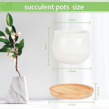 SHECIPIN Succulent Pots, White Mini 2.5 inch Ceramic Flower Planter Pot with Bamboo Tray, Pack of 12 - Plants Not Included - color: 12 Pack White Mini