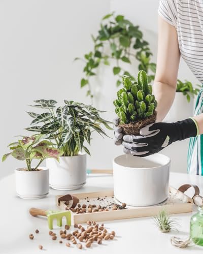 EFISPSS Plant Pots, 4+5+6 Inch Pots for Indoor Plants, Ceramic Planter Pot with Drainage Hole, Flower Pots for Succulent Cactus, Set of 3 - White - color: White