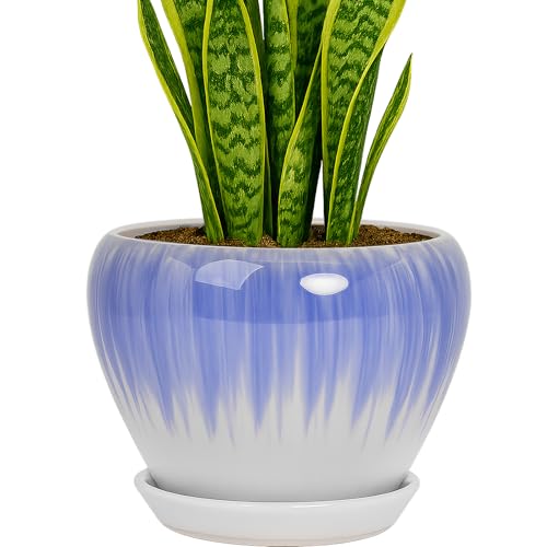 Deep Dream 8 Inch Plant Pots- Ceramic Pots for Plants with Drainage Hole and Saucer, Large Planter Pot for Indoor Plants Outdoor Decor, White&Blue - color: White&blue, size: 8 Inch
