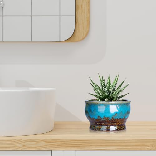 ARTKETTY Succulent Pots, 4.3 Inch Small Plant Pots with Drainage Set of 5 | Ceramic Pots for Indoor Plants Glazed Cactus Flower Planter Container - color: 4.3"-round(5pcs)