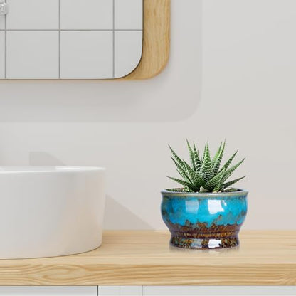 ARTKETTY Succulent Pots, 4.3 Inch Small Plant Pots with Drainage Set of 5 | Ceramic Pots for Indoor Plants Glazed Cactus Flower Planter Container - color: 4.3"-round(5pcs)
