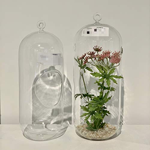 WGV Hanging Glass Plant Terrarium Bulk, Width 5", Height 12", Lantern DIY Air Succulent Planter Clear Tea Light Votive Candle Holder, Wedding Event Office Home Outdoor Decor, 12 Pieces