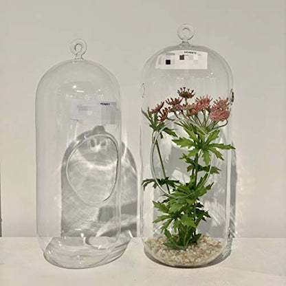 WGV Hanging Glass Plant Terrarium Bulk, Width 5", Height 12", Lantern DIY Air Succulent Planter Clear Tea Light Votive Candle Holder, Wedding Event Office Home Outdoor Decor, 12 Pieces