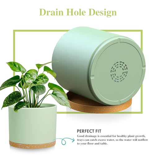 Large Plant Pots Set of 3 – 8", 9", 10" Indoor Flower Pots with Drainage Holes and Saucers, Big Planters for Monstera, Fiddle Leaf Fig, Snake Plant – 5 Colors - color: Green With Brown Base