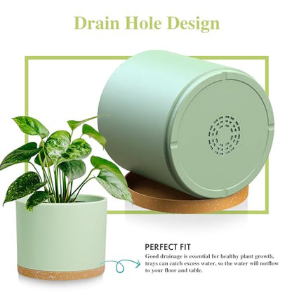 Large Plant Pots Set of 3 – 8", 9", 10" Indoor Flower Pots with Drainage Holes and Saucers, Big Planters for Monstera, Fiddle Leaf Fig, Snake Plant – 5 Colors - color: Green With Brown Base