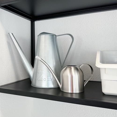 IMEEA Small Watering Can for Indoor Plants, Stainless Steel with Long Spout, 15oz/450ml – Perfect for Desk, Windowsill & Bonsai - color: 15oz (Silver)