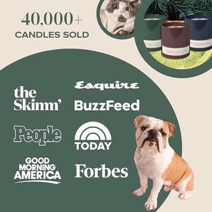 Snuggle Season Pet-Friendly Scented Candle – Balsam, Tonka Bean & Evergreen Fragrance - Coconut Soy Wax Candle with Wooden Wick, Approx. 50-Hour Burn Time, Made in USA, 11.8 oz - color: Snuggle Season