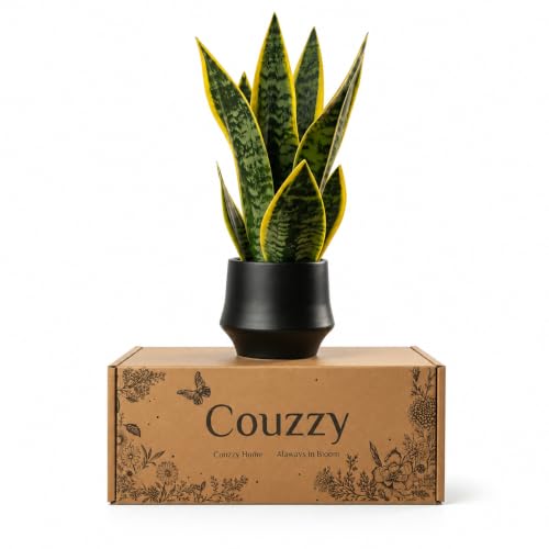 15" Artificial Snake Plant, Faux Sansevieria in Ceramic Pot