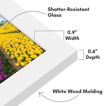 Americanflat 5x5 Picture Frame - Engineered Wood - White | Shatter-resistant glass, wall or tabletop display with included easel, sawtooth hangers included - color: White, size: 5x5